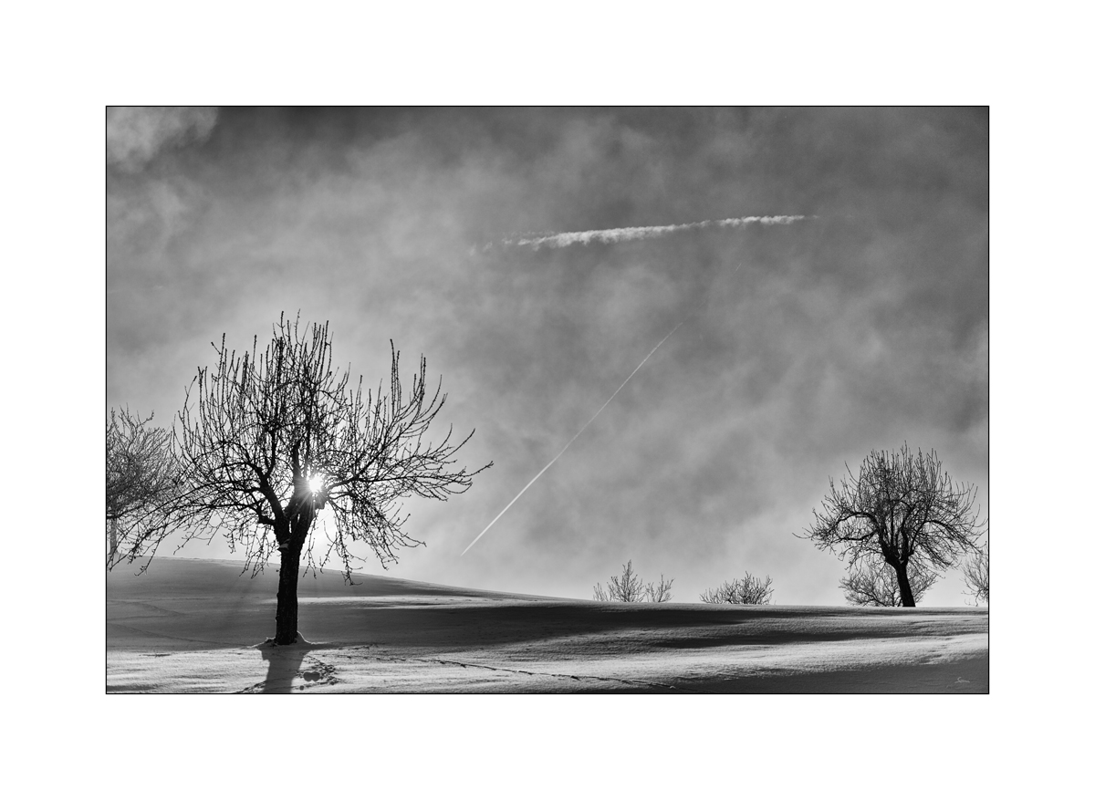 SchneePZ1 9555