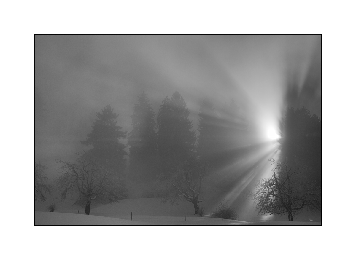 SchneePZ1 9556