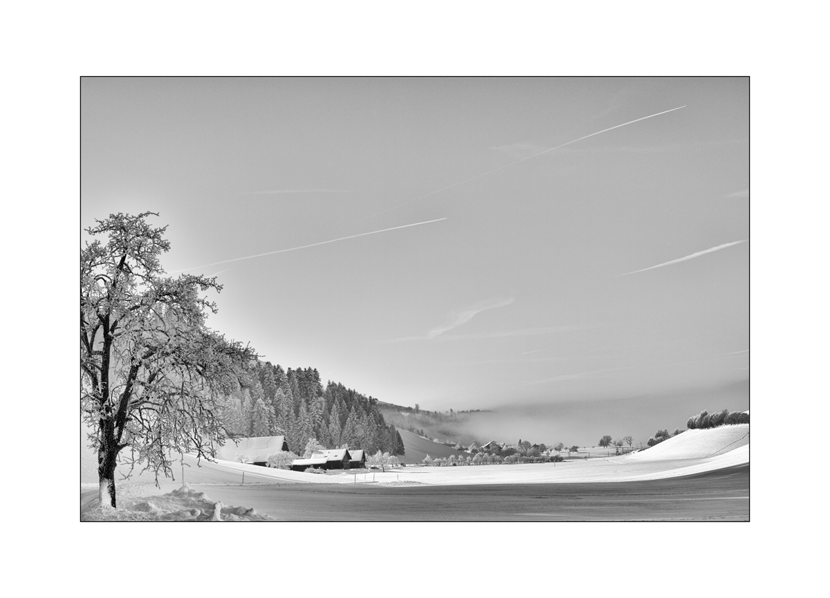 SchneePZ1 9561