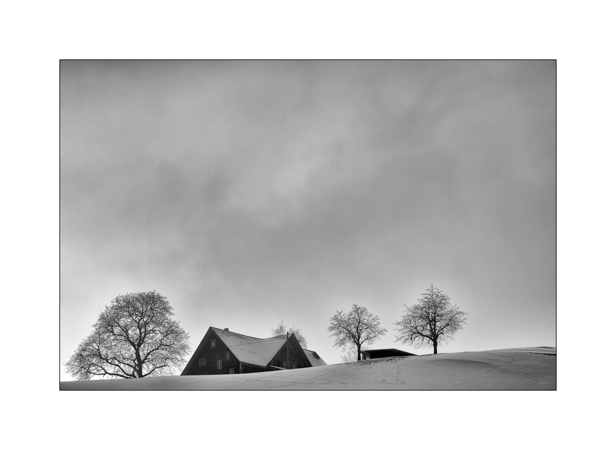 SchneePZ1 9580