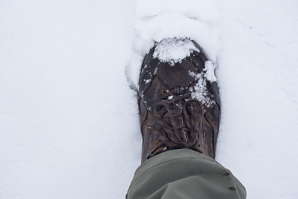 Schneeschuh (1 von 1).JPG