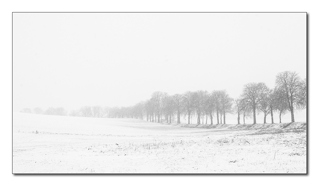 schneetreiben