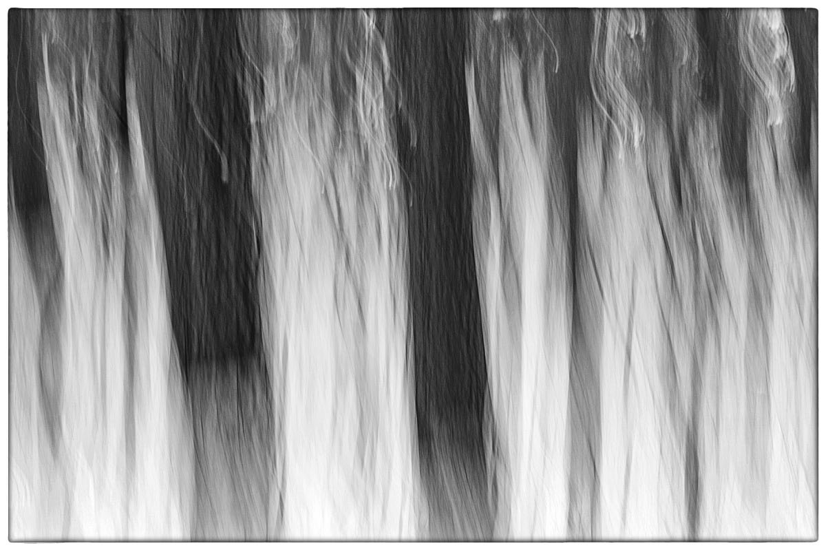 Schneewaldwischer_BW.jpg