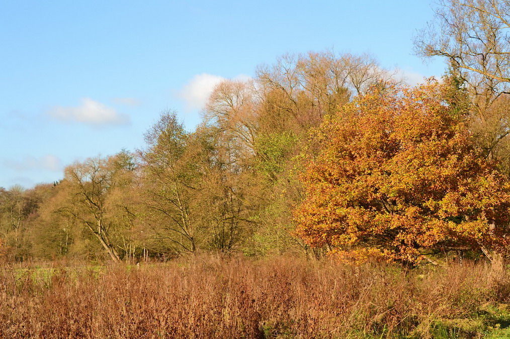 Schon wieder Herbst