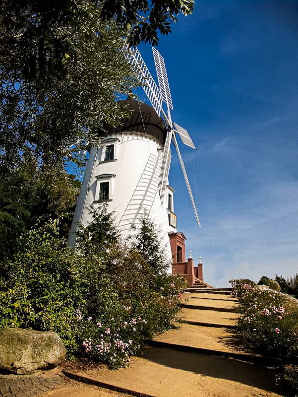 Schottische Windmühle Lady Devorgilla_.jpg