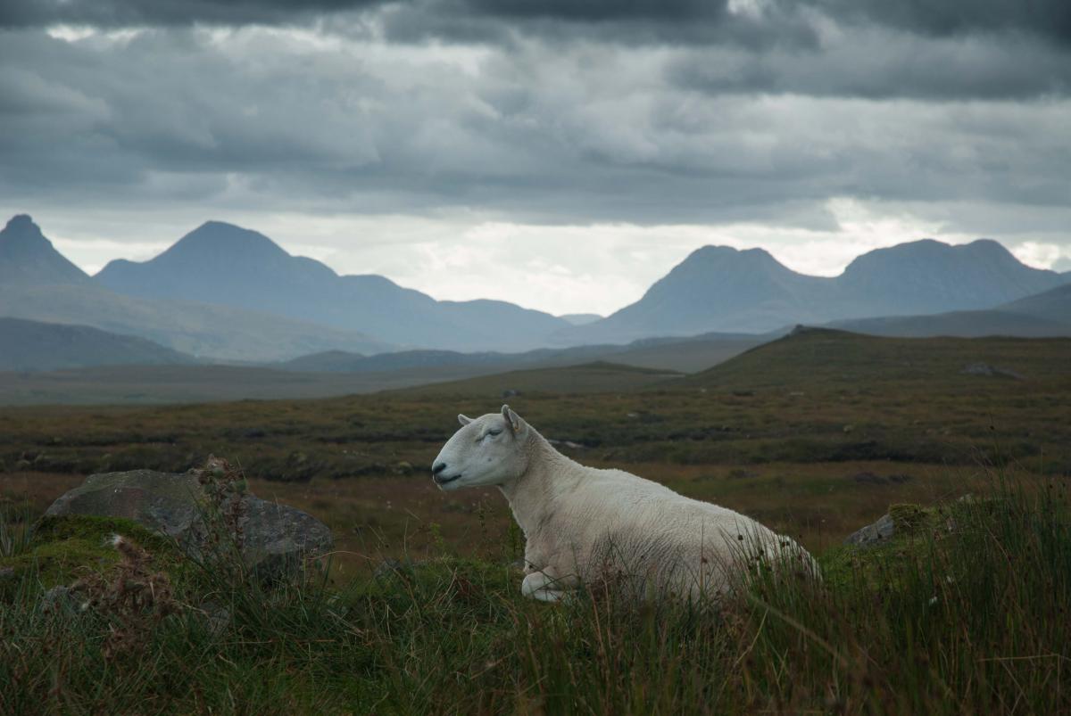 Schottland 2017