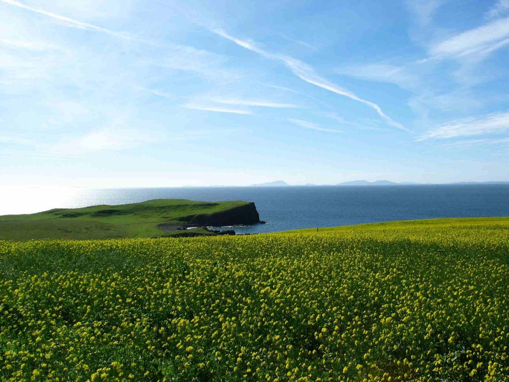 Schottland4