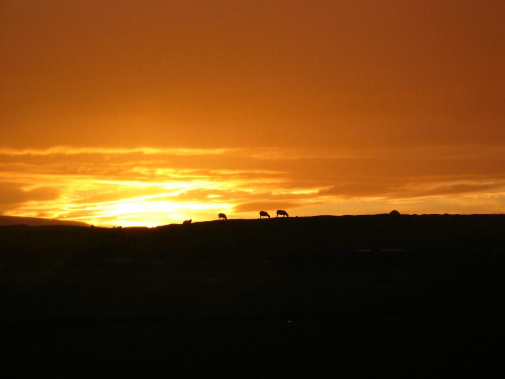 Schottland6