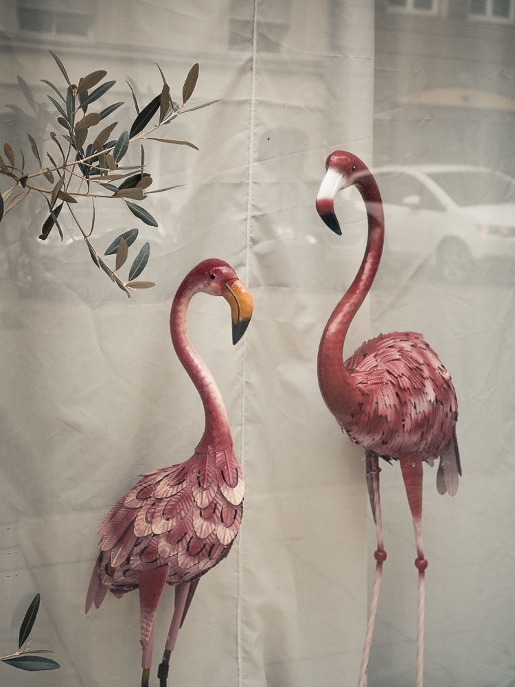 Schwaben-Flamingos