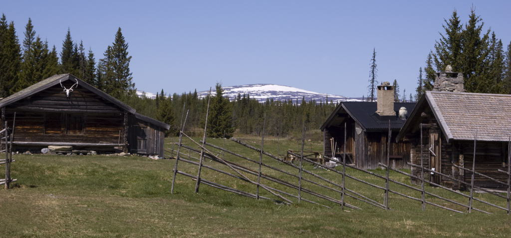 SCHWEDEN - ALM