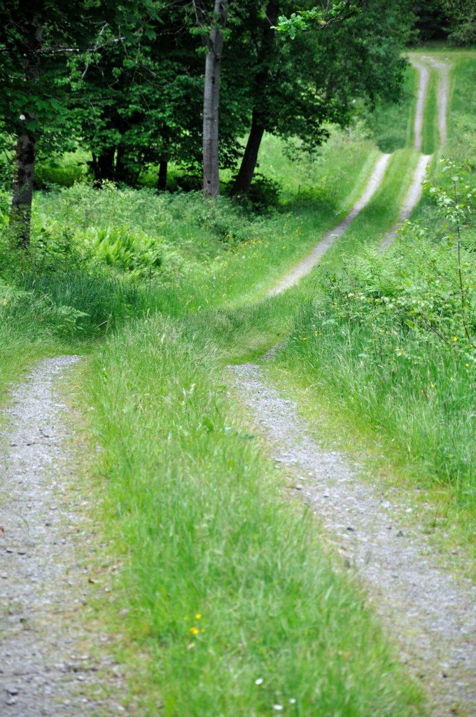 Schwedenurlaub 2012
