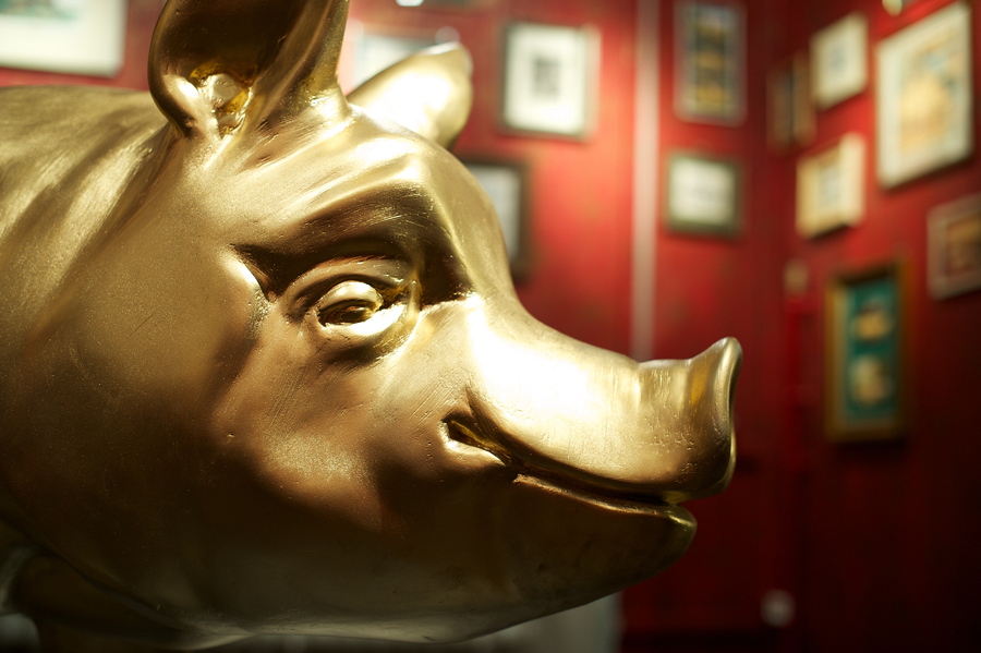 schweine 1(nff)