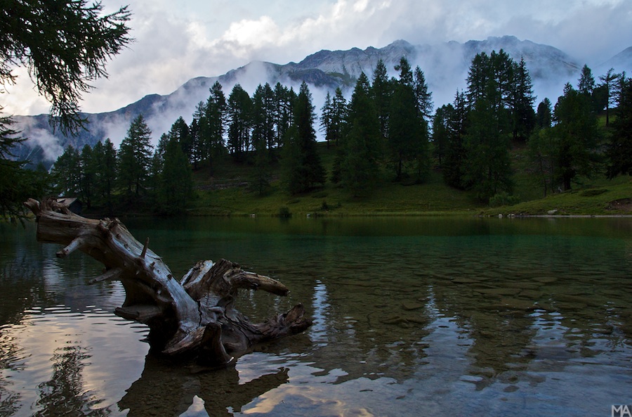 Schweiz nff (1)