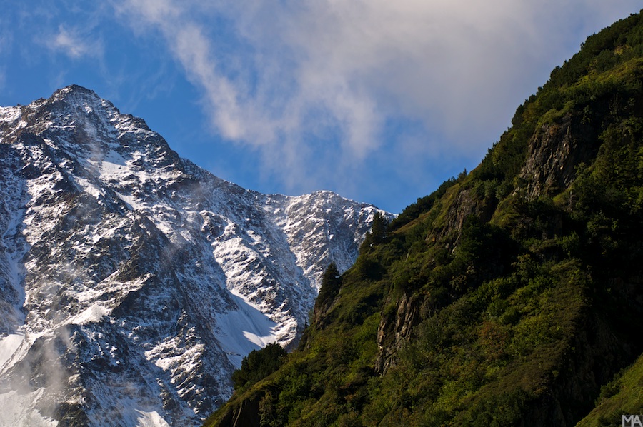 Schweiz nff