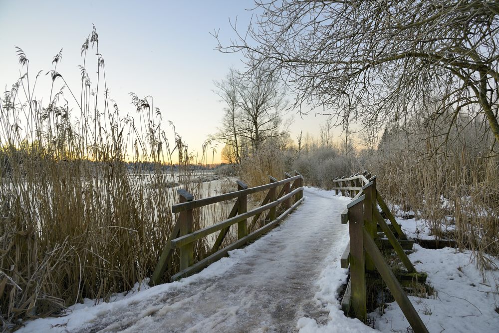 Schwenninger Moos Schwarzwald 2015 00109