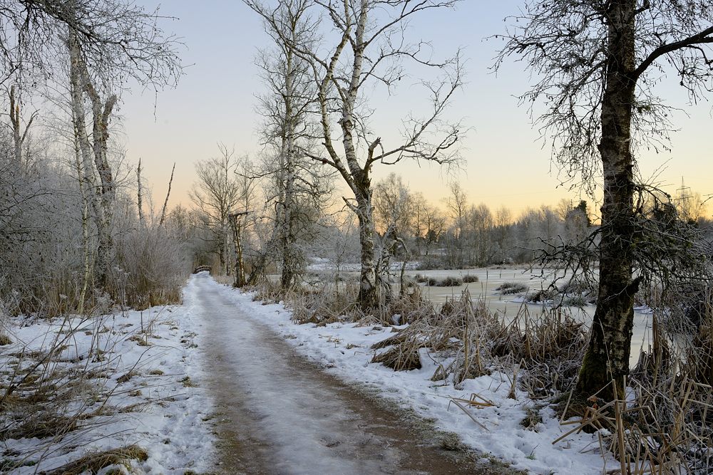 Schwenninger Moos Schwarzwald 2015 00113