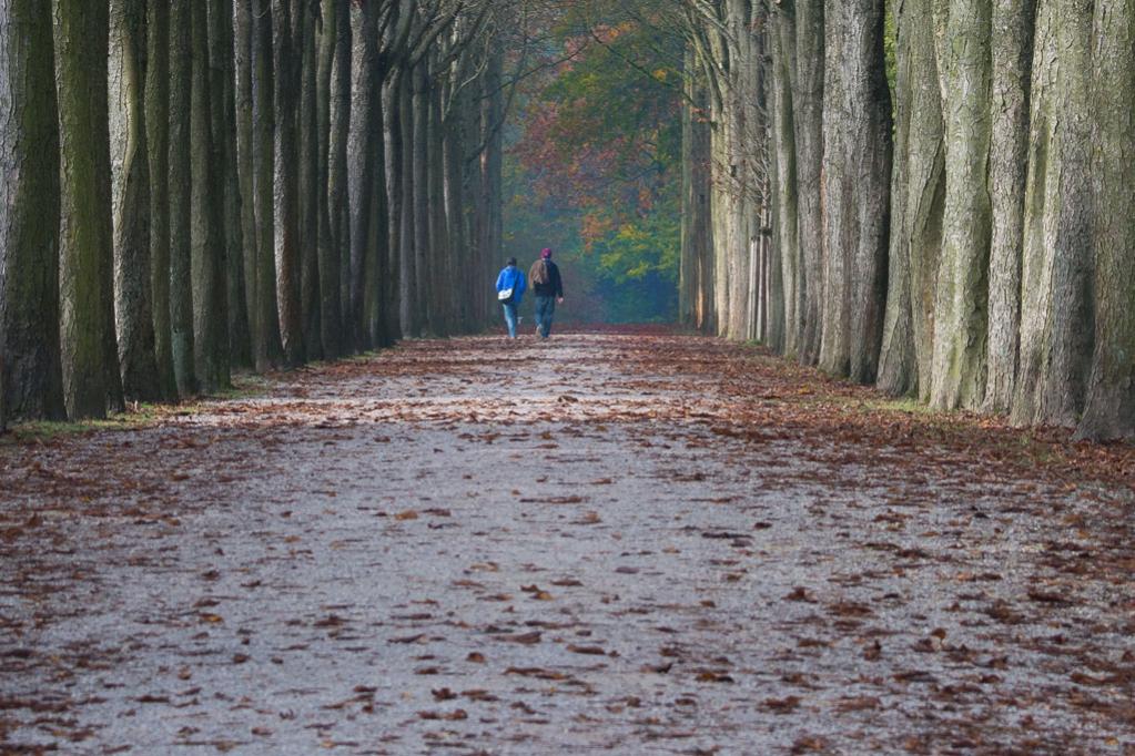 Schwetzingen allee