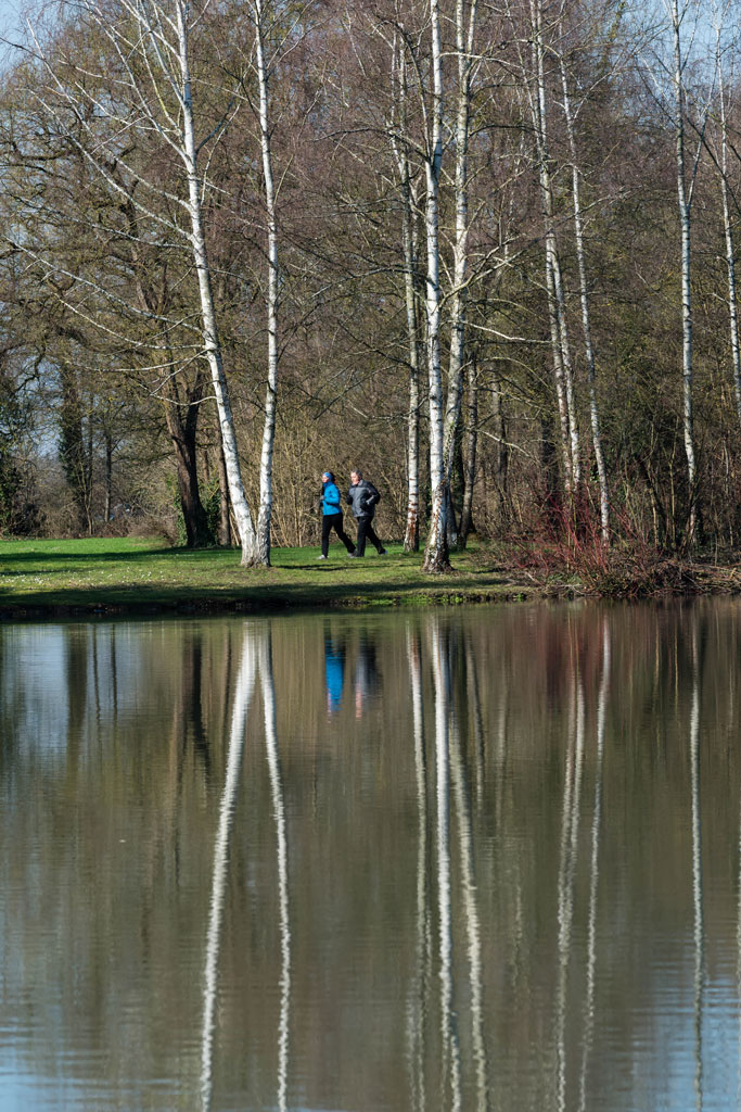 Schwetzingen spiegelung 1