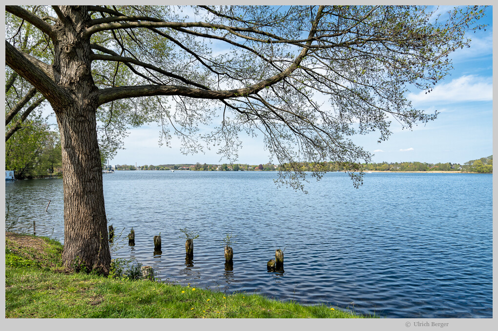 Schwielowsee