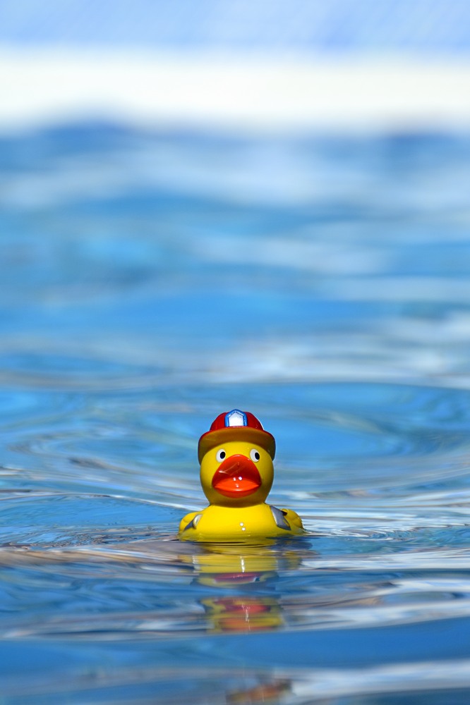 Schwimmen