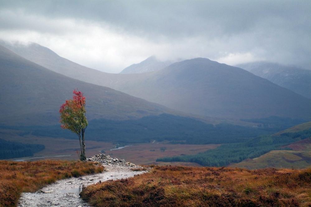 Scotland - Fremdbeitrag Bild korrigiert