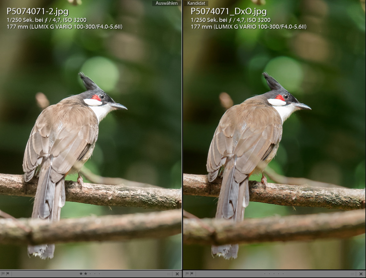 Screenshot (25)