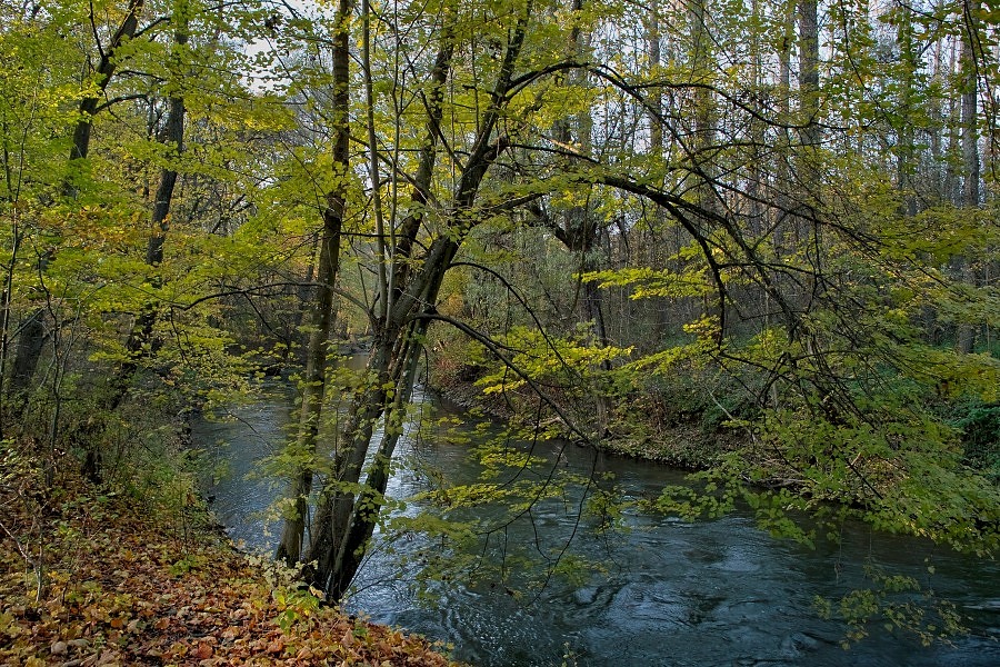 SDIM0141a 01