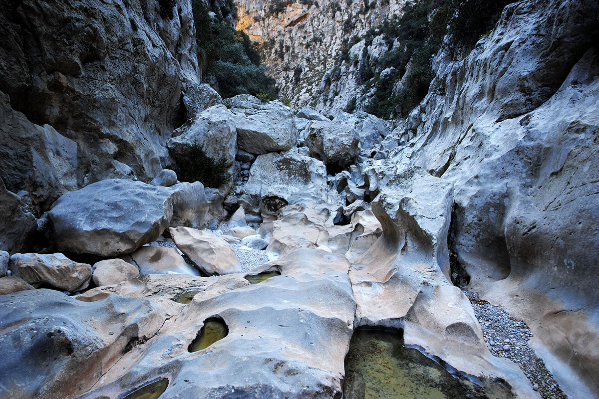 SDIM0554