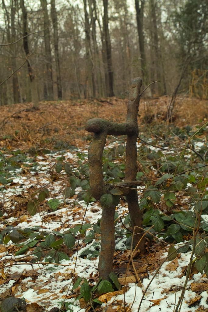 SDIM1369 klein