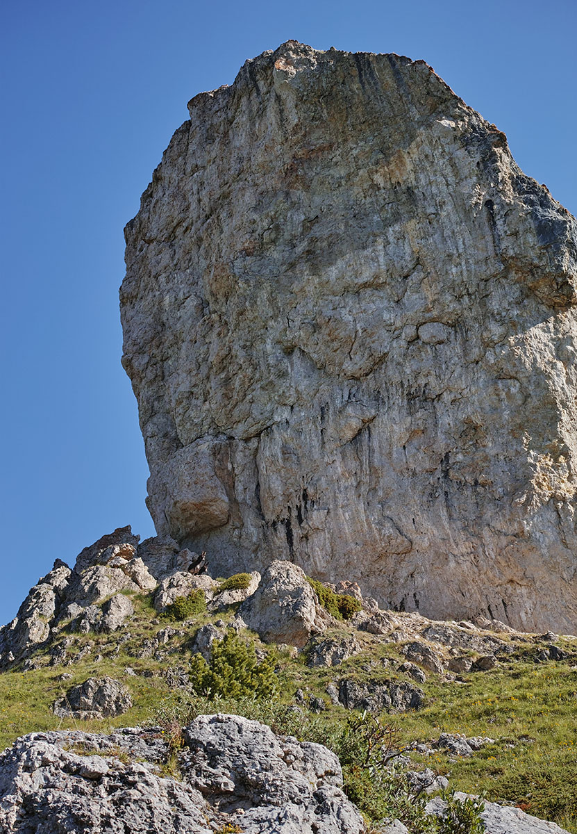 SDIM2332
