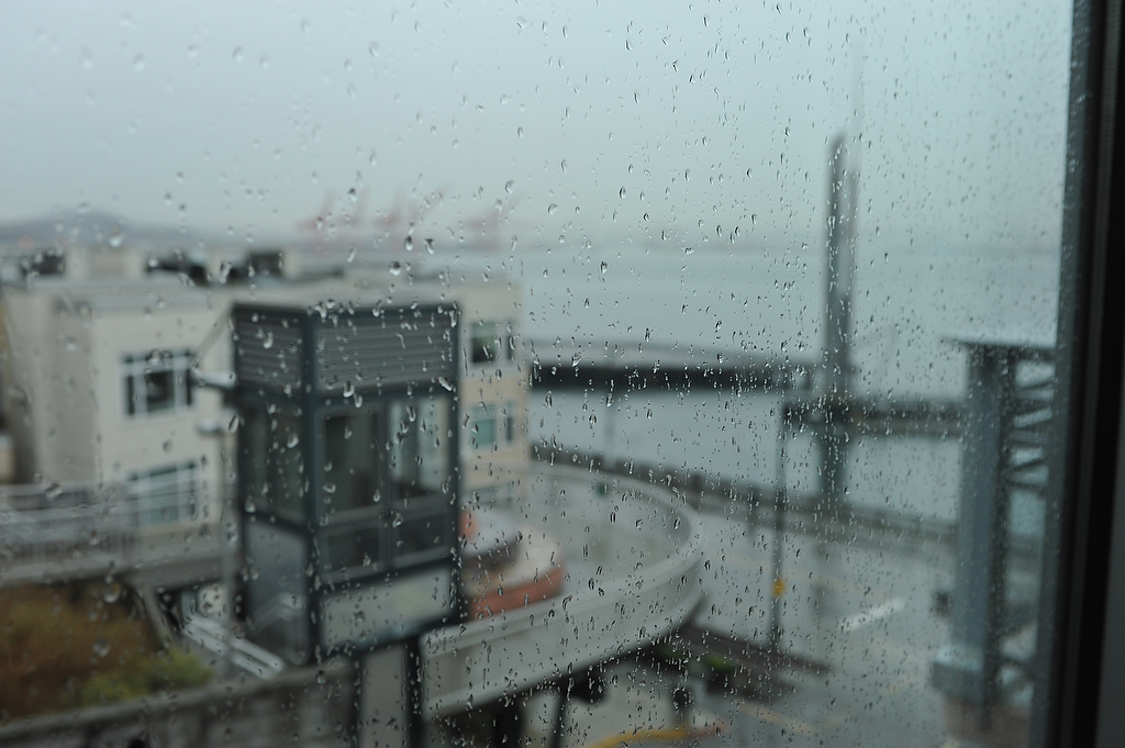 Seattle rain 2