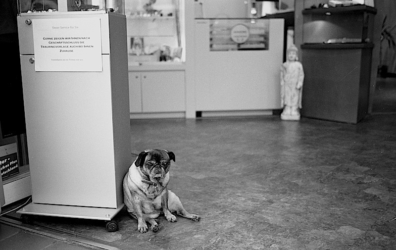security