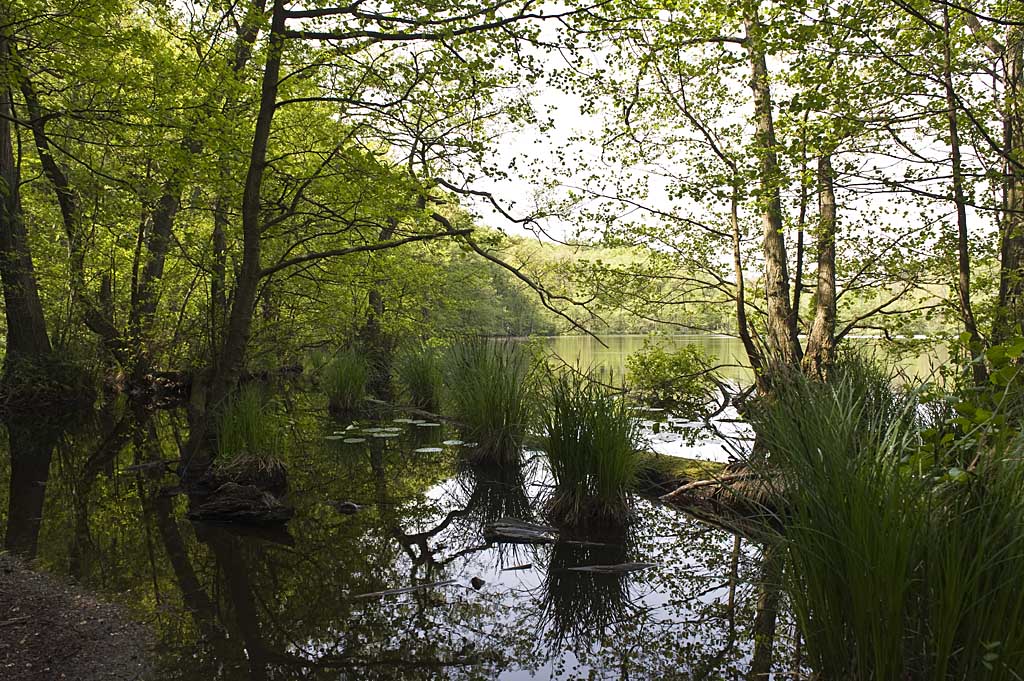 See auf dem Weg zum Königsstuhl