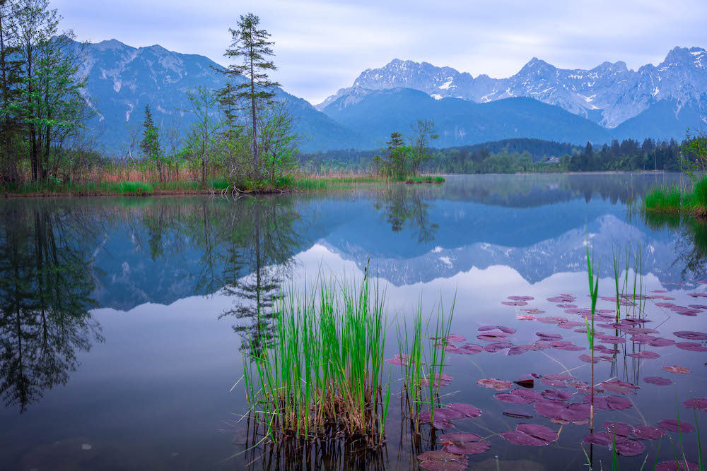 See + Berge