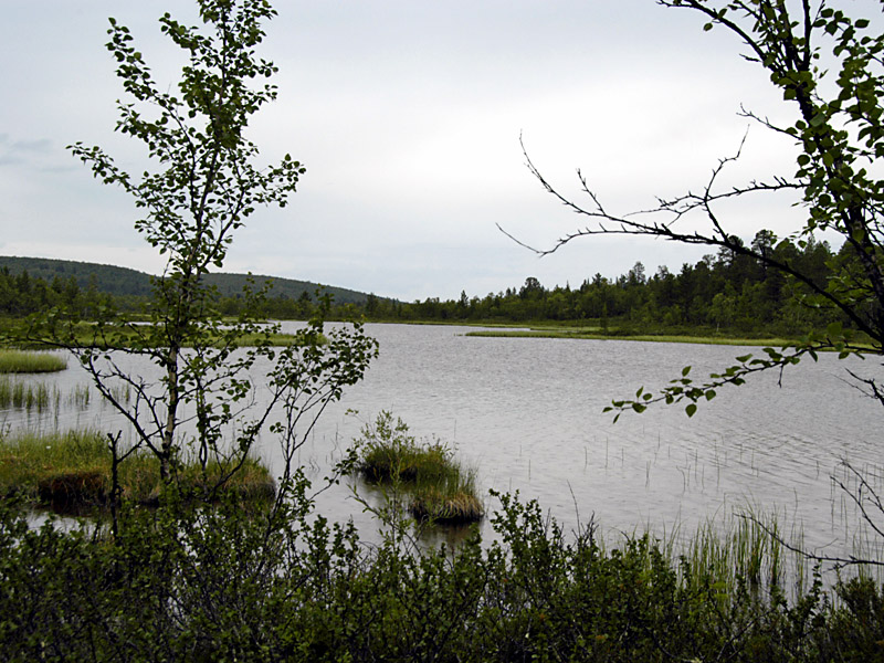 See in Finland
