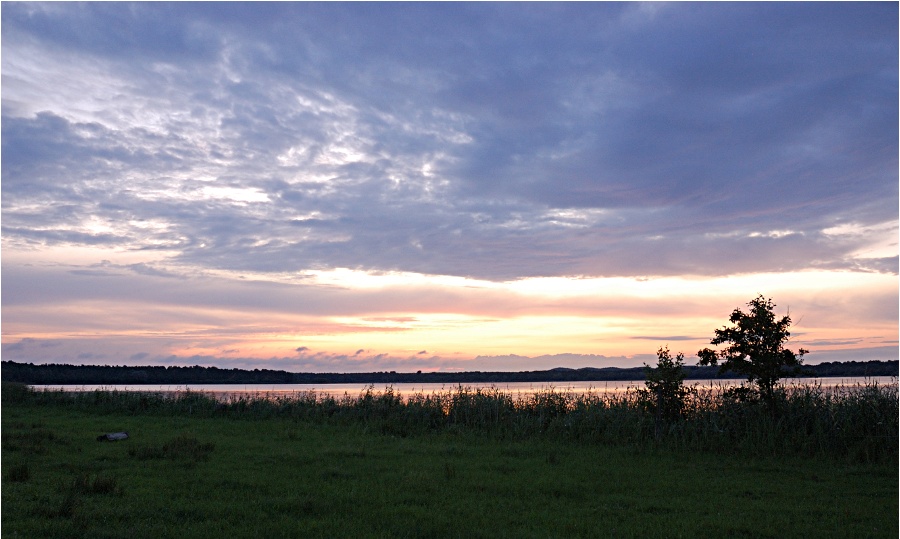 See morgens