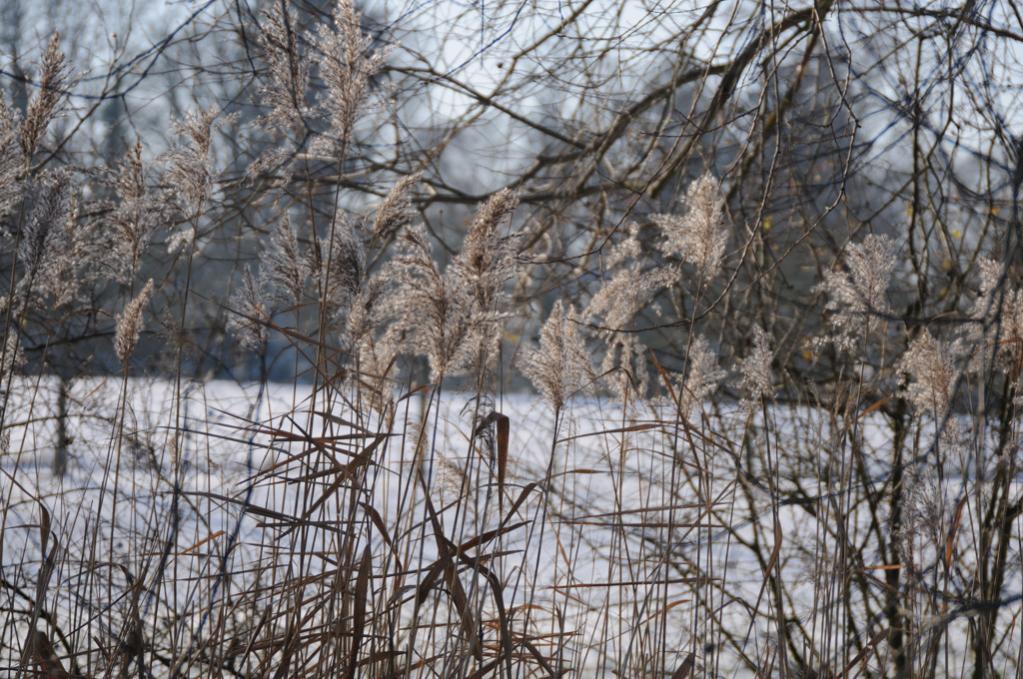 Seeburgpark