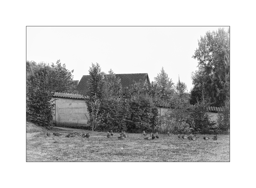 SeeDSC 6204