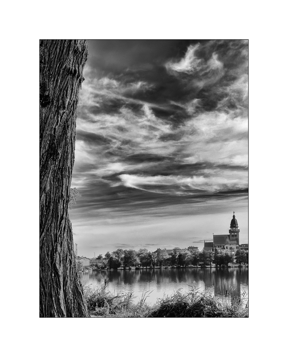 SeeIMG_2297.jpg