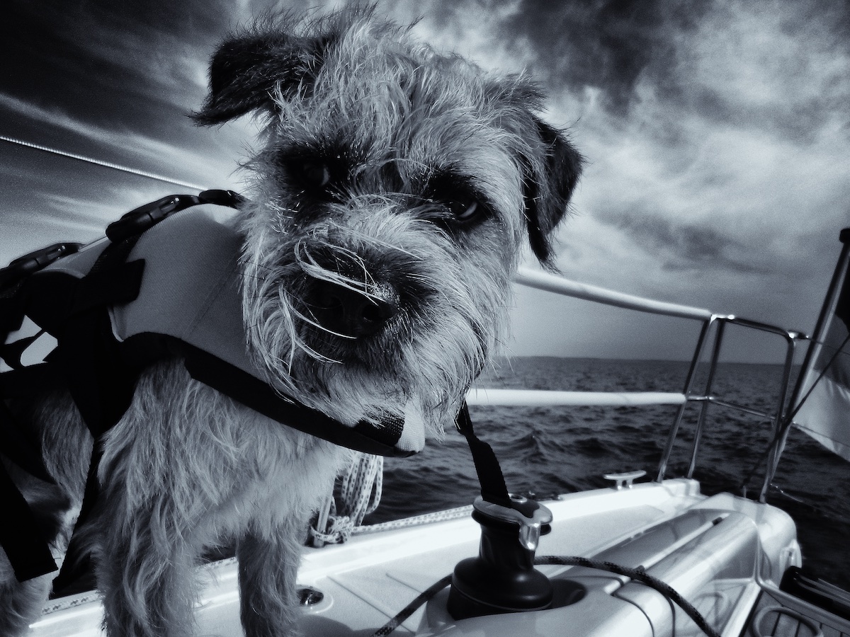 Seekadett Henry hält Ausguck an Bord der Segelyacht SMULA. Vorbildlich mit Schwimmweste. Läääääuft..........