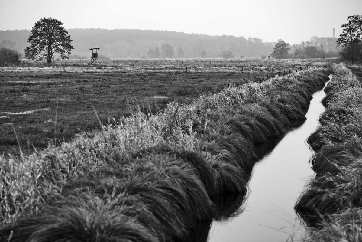 Seewiesen 1 BW.jpg