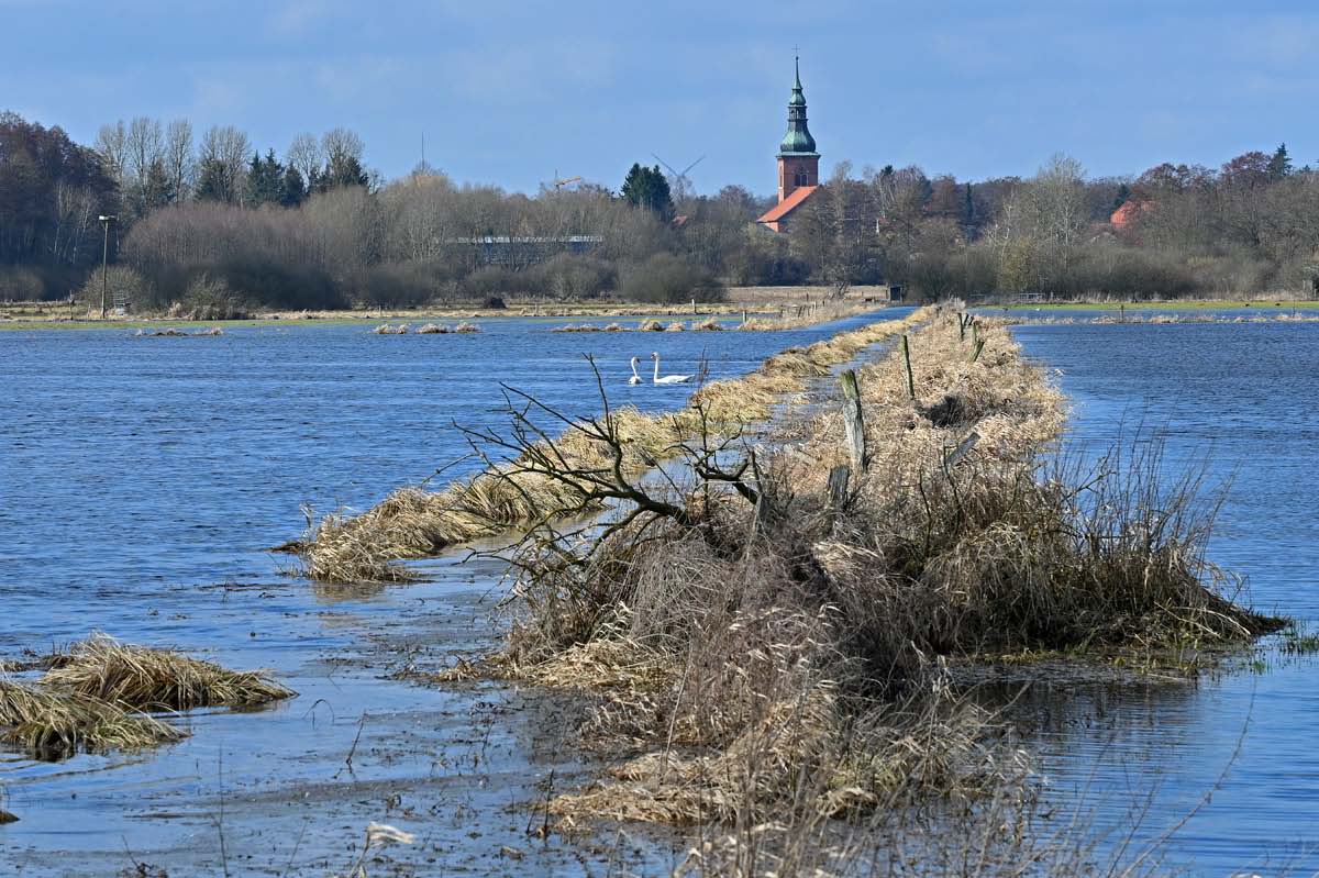 Seewiesen 1.jpg