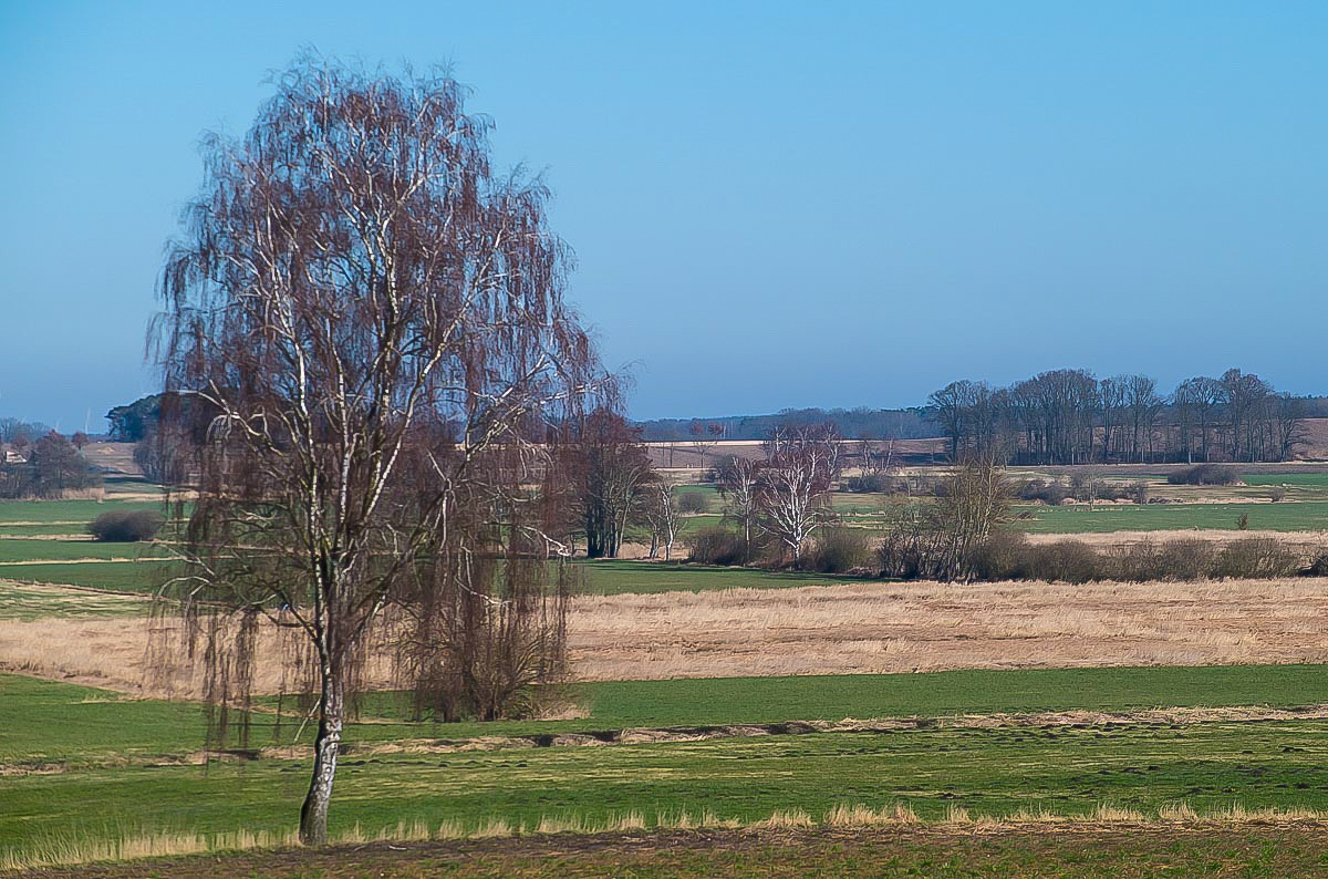Seewiesen (1 von 1).jpg