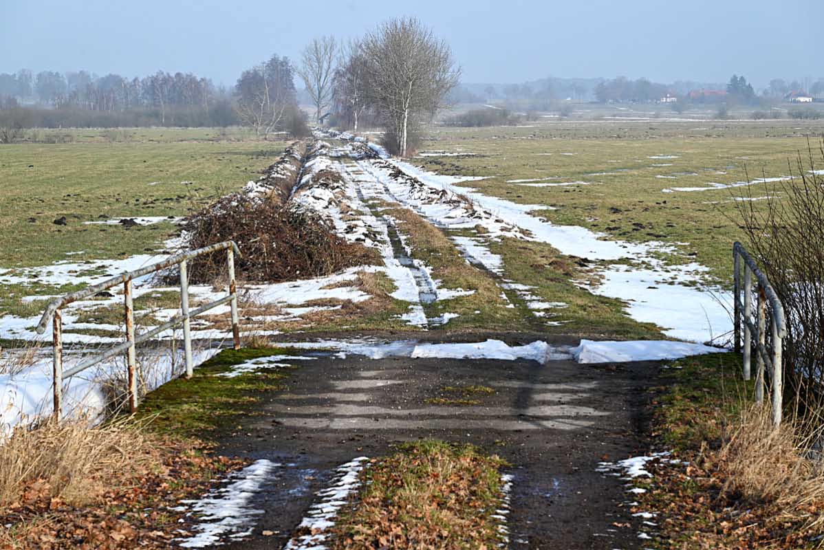 Seewiesen 100226.jpg