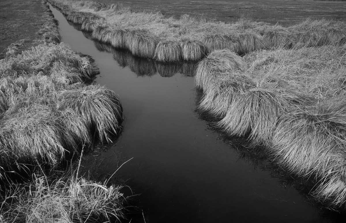 Seewiesen 2 BW.jpg