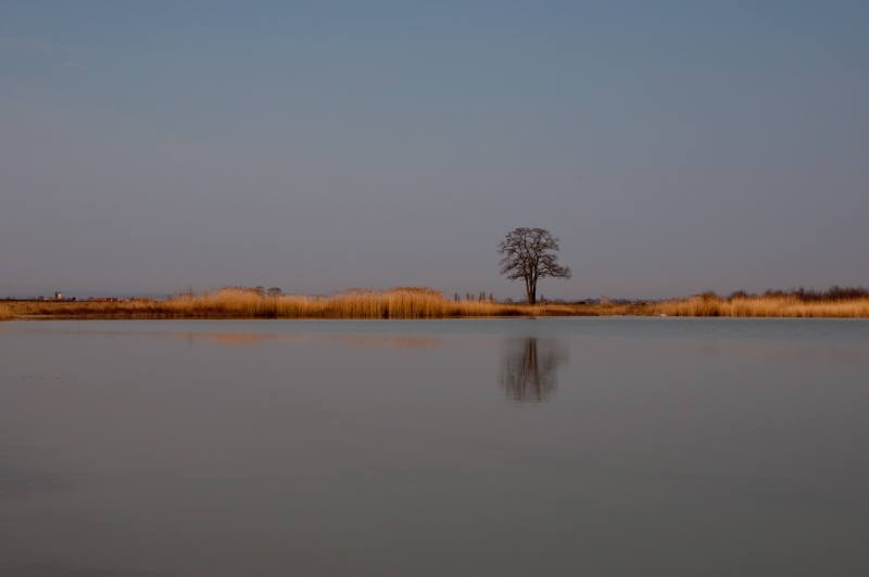 Seewinkel