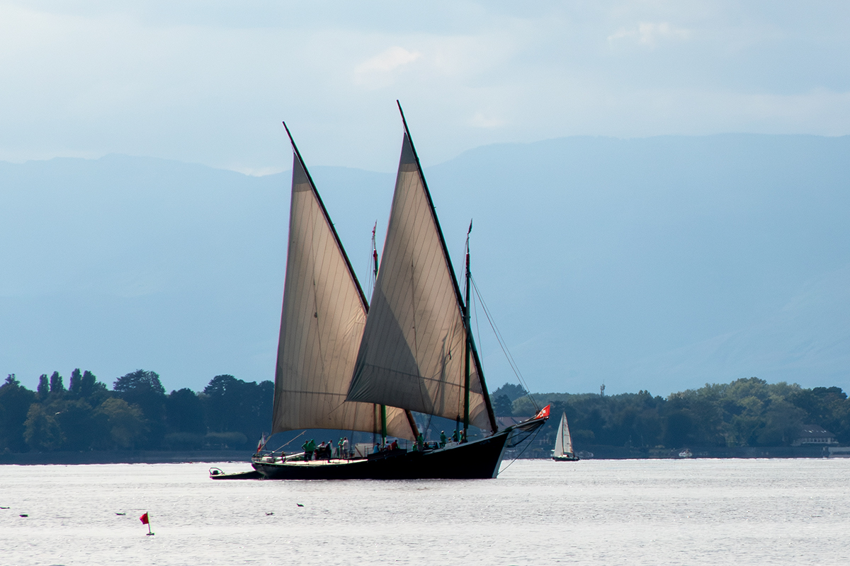 Segelboot.jpg