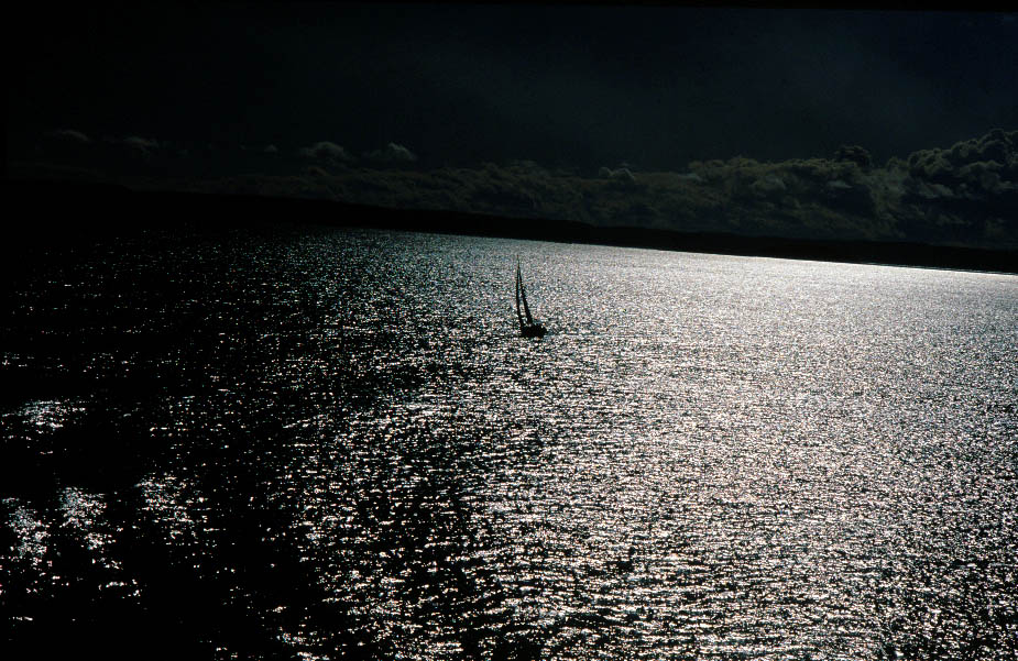 Segler im Oslo Fjord