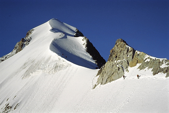 Seilschaften am Biancograt, Bernina. Schweiz
www.bergsinn.de