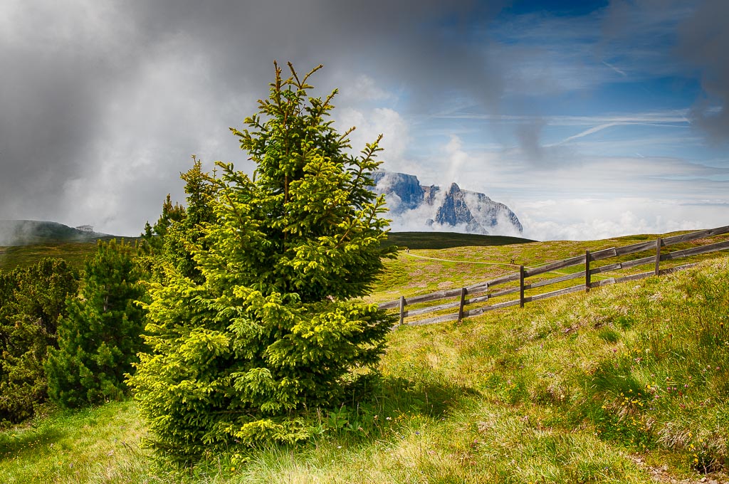 SeiserAlm 02
